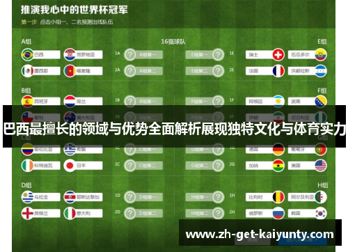 巴西最擅长的领域与优势全面解析展现独特文化与体育实力