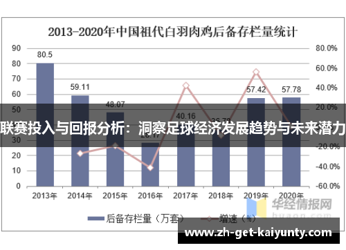 联赛投入与回报分析：洞察足球经济发展趋势与未来潜力