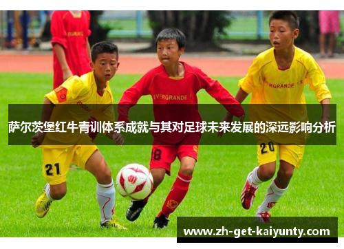 萨尔茨堡红牛青训体系成就与其对足球未来发展的深远影响分析